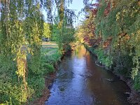 NL, Noord-Brabant, Valkenswaard, Dommelkwartier 1, Saxifraga-Tom Heijnen