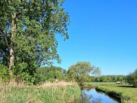 NL, Noord-Brabant, Valkenswaard, Dommelkwartier 2, Saxifraga-Tom Heijnen
