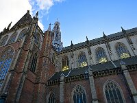 NL, Noord-Holland, Haarlem, Grote Kerk (Sint Bavokerk) 4, Saxifraga-Tom Heijnen