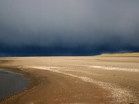 NL, Noord-Holland, Texel, De Hors 199, showers, Saxifraga-Sytske Dijksen