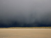 NL, Noord-Holland, Texel, De Hors 201, showers, Saxifraga-Sytske Dijksen
