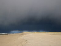 NL, Noord-Holland, Texel, De Hors 202, showers, Saxifraga-Sytske Dijksen