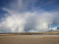 NL, Noord-Holland, Texel, De Hors 204, snowclouds, Saxifraga-Sytske Dijksen