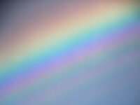 NL, Noord-Holland, Texel, De Slufter 150, rainbow, Saxifraga-Sytske Dijksen