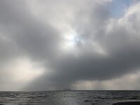 NL, Noord-Holland, Texel, Marsdiep 15, hail, Saxifraga-Sytske Dijksen