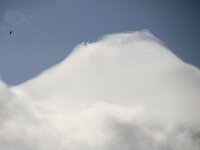 NL, Noord-Holland, Texel, Paal 8 53, volcanoshaped cloud, Saxifraga-Sytske Dijksen
