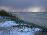 NL, Noord-Holland, Texel, paal 9 80, hail, Saxifraga-Sytske Dijksen