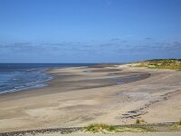 NL, Zeeland, Schouwen-Duiveland, Westenschouwen 47, Saxifraga-Roel Meijer  Zeeland, Netherlands : beach, dunes, sea, North sea, sand, coast, shore, Burgh-Haamstede, Westenschouwen, Zeeland, Netherlands, Dutch