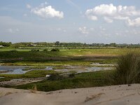 NL, Zeeland, Schouwen-Duiveland, Westenschouwen 51, Saxifraga-Roel Meijer  Zeeland, Netherlands. : wetland, sand, dunes, village, inlage, nature, Burgh, Haamstede, Zeeland, Netherlands, Dutch, Westenschouwense Inlaag