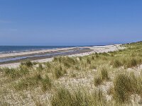 Sandy dunes with Marram grass (Ammophila arenaria) and beach; Burgh-Haamstede, Zeeland, Netherlands  Sandy dunes with Marram grass (Ammophila arenaria) and beach; Burgh-Haamstede, Zeeland, Netherlands : dunes, summer, summertime, spring, springtime, sand, sandy, Westenschouwen, Burgh-Haamstede, Schouwen Duiveland, Zeeland, Holland, Netherlands, Dutch, Europe, European, nature, natural, grass, marram grass, sea grass, Ammophila arenaria, rural, landscape, rural landscape, rural scene, non-urban landscape, non-urban scene, outside, outdoor, outdoors, beach, sea, north sea, sky, blue sky, horizon
