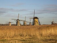 NL, Zuid-Holland, Molenwaard, Kinderdijk, Hoge boezem van de Nederwaard 1, Saxigraga-Roel Meijer  Unesco World Heritage Site Kinderdijk, Netherlands. : Heritage, History, Landmark, The past, Monument