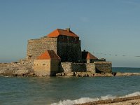 F, Pas-de-Calais, Ambleteuse, Fort Mahon 1, Saxifraga-Jan van der Straaten