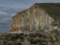 F, Seine-Maritime, Sassetot-le-Mauconduit, Les Petites Dalles 11, Saxifraga-Willem van Kruijsbergen