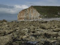 F, Seine-Maritime, Sassetot-le-Mauconduit, Les Petites Dalles 12, Saxifraga-Willem van Kruijsbergen