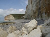 F, Seine-Maritime, Sassetot-le-Mauconduit, Les Petites Dalles 19, Saxifraga-Willem van Kruijsbergen