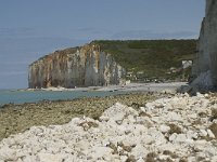 F, Seine-Maritime, Sassetot-le-Mauconduit, Les Petites Dalles 34, Saxifraga-Willem van Kruijsbergen