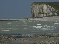 F, Seine-Maritime, Veulettes-sur-Mer 32, Saxifraga-Willem van Kruijsbergen