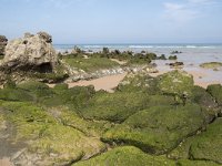 E, Cantabria, Liencres, Dunas de Liencres 15, Saxifraga-Willem van Kruijsbergen