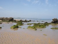 E, Cantabria, Liencres, Dunas de Liencres 19, Saxifraga-Willem van Kruijsbergen