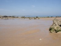 E, Cantabria, Liencres, Dunas de Liencres 25, Saxifraga-Willem van Kruijsbergen