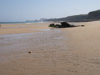 E, Cantabria, Liencres, Dunas de Liencres 26, Saxifraga-Willem van Kruijsbergen