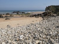 E, Cantabria, Liencres, Dunas de Liencres 4, Saxifraga-Willem van Kruijsbergen