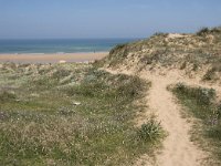 E, Cantabria, Liencres, Dunas de Liencres 54, Saxifraga-Willem van Kruijsbergen