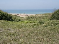 E, Cantabria, Liencres, Dunas de Liencres 58, Saxifraga-Willem van Kruijsbergen