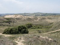 E, Cantabria, Liencres, Dunas de Liencres 73, Saxifraga-Willem van Kruijsbergen