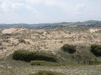 E, Cantabria, Liencres, Dunas de Liencres 75, Saxifraga-Willem van Kruijsbergen