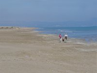 E, Tarragona, Deltebre, El Fangar 8, Saxifraga-Jan van der Straaten