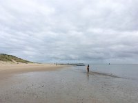 NL, Friesland, Vlieland 7, Saxifraga-Bart Vastenhouw