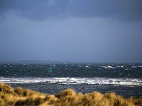 NL, Friesland, Vlieland, Vliestroom 6, Saxifraga-Bart Vastenhouw