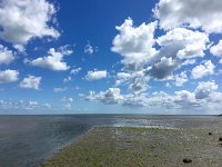 NL, Noord-Holland, Texel 26, Saxifraga-Bart Vastenhouw