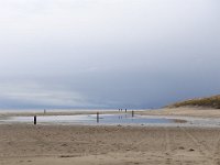 NL, Noord-Holland, Texel, Vuurtoren 1, Saxifraga-Bart Vastenhouw