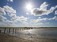 NL, Zeeland, Sluis, Het Zwin 1, Saxifraga-Bart Vastenhouw