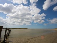 NL, Zeeland, Sluis, Het Zwin 4, Saxifraga-Bart Vastenhouw