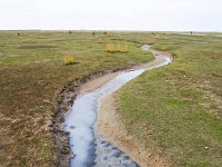 NL, Zuid-Holland, Goeree-Overflakkee, Kwade Hoek 67, Saxifraga-Bart Vastenhouw