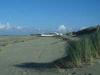 NL, Zuid-Holland, Goeree-Overflakkee, Ouddorp 1, Saxifraga-Jan van der Straaten