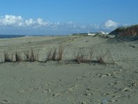 NL, Zuid-Holland, Goeree-Overflakkee, Ouddorp 3, Saxifraga-Jan van der Straaten