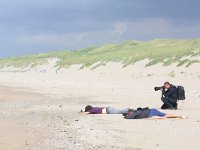 NL, Zuid-Holland, Wassenaar, Strand Meijendel 1, Saxifraga-Bart Vastenhouw