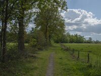 NL, Noord-Brabant, Oisterwijk, Voorste Stroom 25, Saxifraga-Jan van der Straaten
