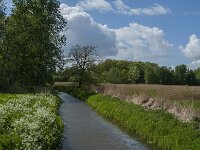 NL, Noord-Brabant, Oisterwijk, Voorste Stroom 42, Saxifraga-Jan van der Straaten
