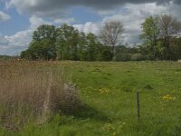 NL, Noord-Brabant, Oisterwijk, Voorste Stroom 60, Saxifraga-Jan van der Straaten