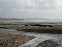 F, Pas-de-Calais, Ambleteuse 59, Saxifraga-Willem van Kruijsbergen