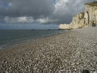 F, Seine-Maritime, Etretat 26, Saxifraga-Willem van Kruijsbergen