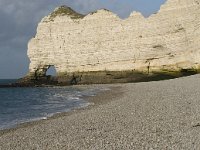 F, Seine-Maritime, Etretat 27, Saxifraga-Willem van Kruijsbergen