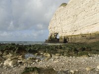 F, Seine-Maritime, Etretat 31, Saxifraga-Willem van Kruijsbergen