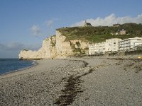 F, Seine-Maritime, Etretat 34, Saxifraga-Willem van Kruijsbergen