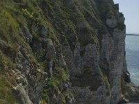 F, Seine-Maritime, Etretat, Cap d Antifer 6, Saxifraga-Willem van Kruijsbergen